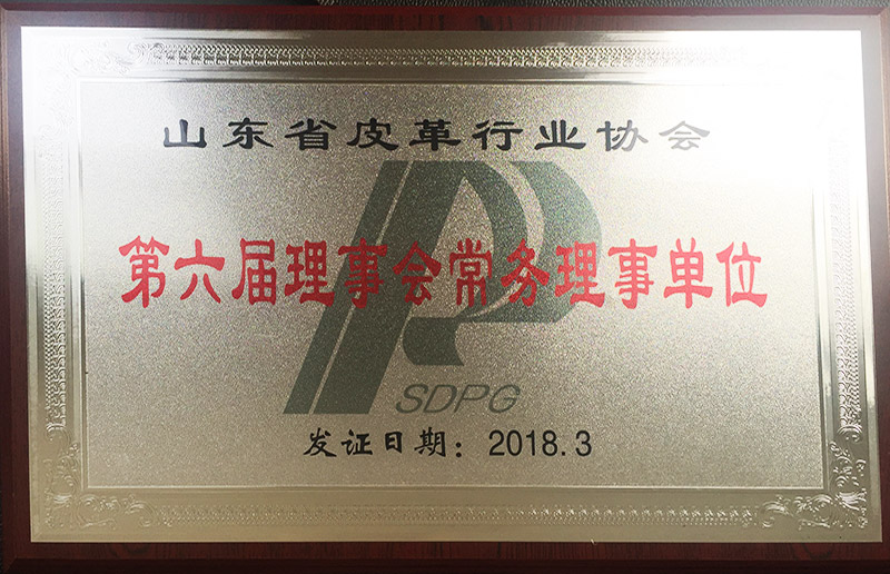 皮革行業第六屆理事會常務理事單位